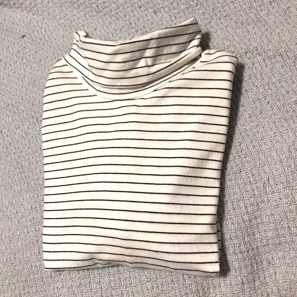 Banana Republic Striped Turtleneck